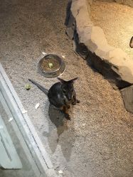 -酷嗒动物文化乐园(cutezoo西溪乐天城店)