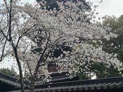 -寒山寺