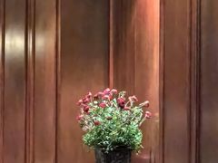 -悦海堂(金融街购物中心店)