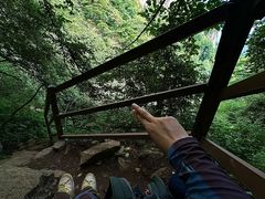 -王顺山国家森林公园