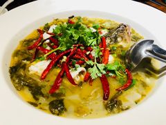 老坛酸菜鱼-渔见·精品川菜·老坛酸菜鱼(大朗店)