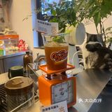 夏天就要喝特调｜从阳光海滩秒穿阴雨山林[色]