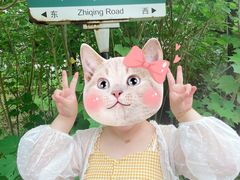 -同里国家湿地公园