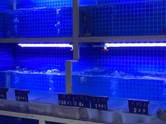 -威海渔村(静安旗舰店)