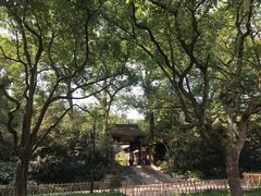 -西湖外事游船(花港观鱼码头)