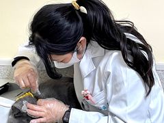 -谐和贝康宠物医院24小时·宠保定点(急重症转诊中心)