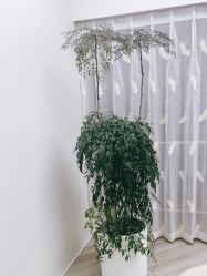 -HEYAN荷妍专业脱毛连锁机构