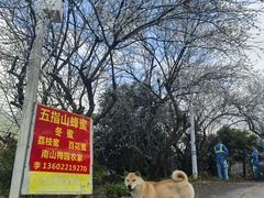 -广州市流溪河国家森林公园