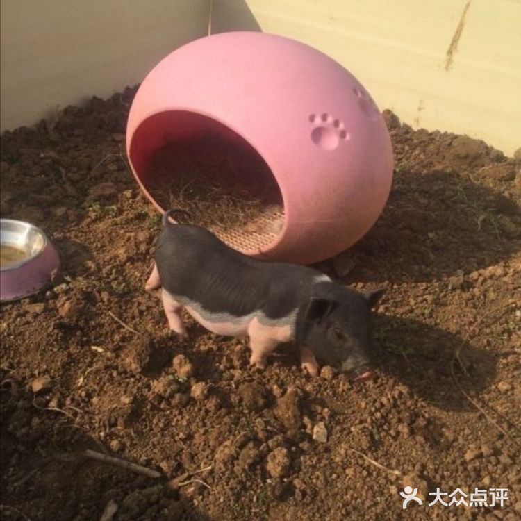 林荫新路1288号佘山茂御臻品酒店内(欢乐谷)
