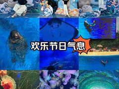 -海合安天津极地海洋公园
