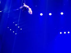 -珠海横琴长隆《卡卡虎奇遇记》