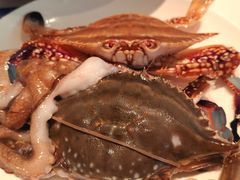 梭子蟹-初色海鲜自助(朝阳北路店)
