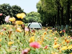 -上海鲜花港