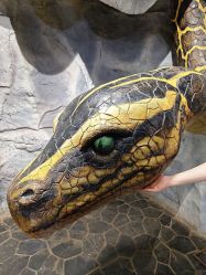 -Zoolung Zoolung动物主题公园(海信广场店)