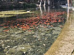 -水磨沟公园