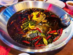-红牌美蛙鱼头火锅(万辉国际广场店)