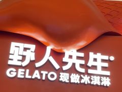 -野人先生现做冰淇淋(北京王府井东方新天地店)