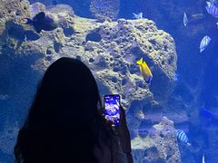 -哈尔滨波塞冬海底世界