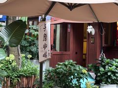 -泡桐树街