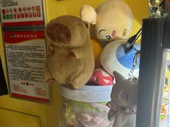 -谜盒子奇幻密室(南屏店)