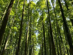 -山王坪喀斯特国家生态公园