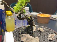 -忆江南·临江鱼馆