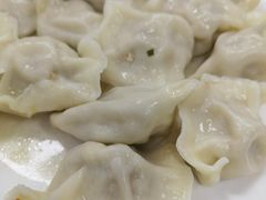-启子大馅饺子