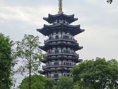 -洋湖国家湿地公园