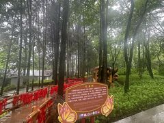 -蝴蝶泉公园