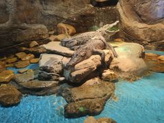 -多彩贵州城极地海洋世界