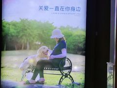-关爱宠物医院·猫科中心·消化科(滨湖万达分院)