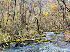 -叠溪松坪沟景区
