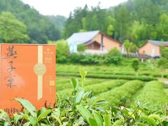 -华祥苑茶馆•国缤茶小蓝罐(普罗旺斯店)