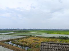 -洪湖生态旅游区