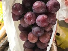 -马陆小张葡萄园农家乐