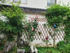 -美味之家·湖景农家乐(太湖东山店)