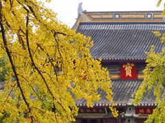 -西园戒幢律寺