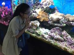 -御唐府海珊瑚主题餐厅