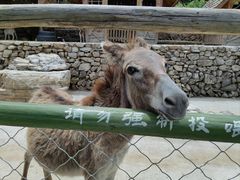 -幽岚山·童话森林