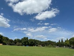 -昆山城市生态森林公园