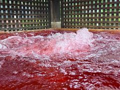 -春晖园度假酒店温泉