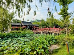 -东台西溪天仙缘景区