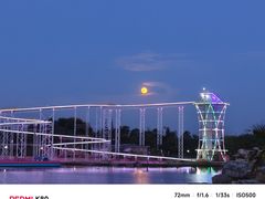 -九龙湖公园