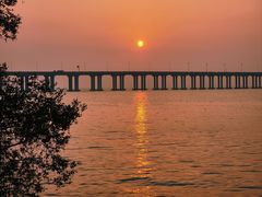 -宝安西湾红树林湿地公园