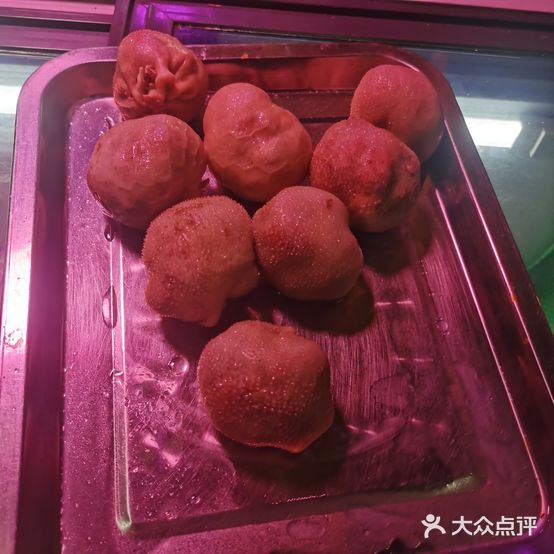 小马哥新疆秘烤