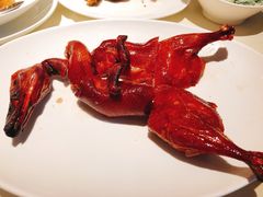 -利苑酒家(华熙国际店)