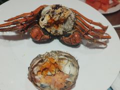 -温州喜来登酒店-盛宴西餐厅