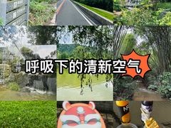 -广州市白云山风景名胜区
