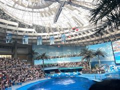 -海合安成都极地海洋公园