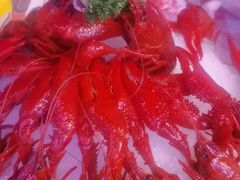 -京悦南门涮羊肉·羊蝎子火锅(田林路店)
